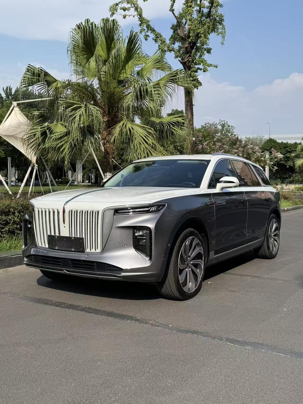 FAW_Hongqi Hongqi E-HS9 2022 model 660km flag collar version four seats