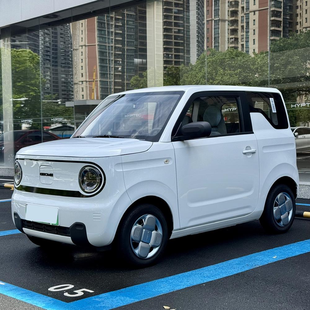 Geely Panda 2024 model 200km Panda mini endurance bear