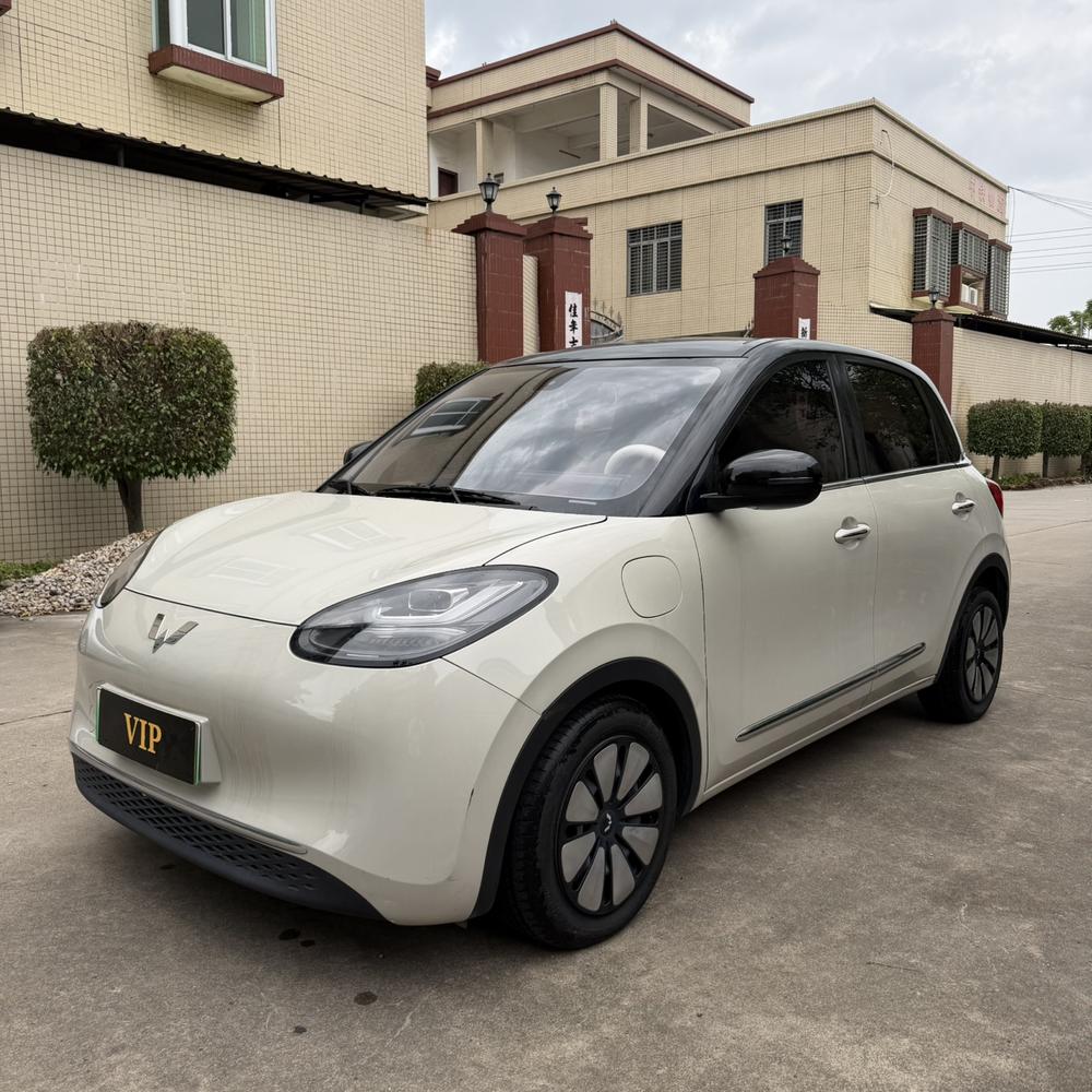 Wuling Wuling Bingo 2024 model 333KM Yuexiang model
