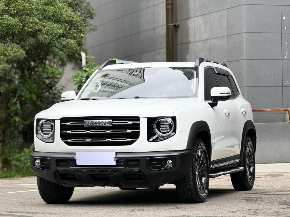Great_Wall_Motors Haval Big Dog 2022 2.0T four-wheel drive Chinese pastoral dog version