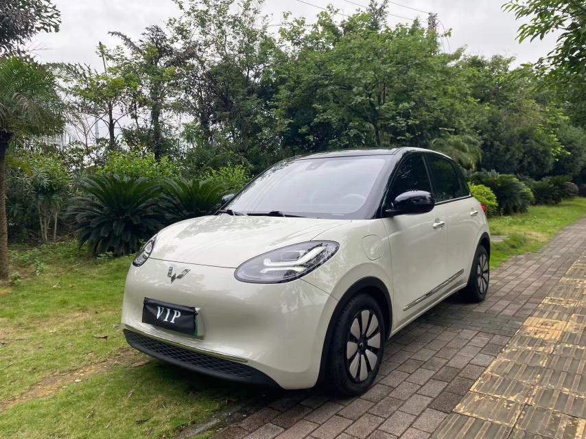 Wuling Wuling Bingo 2024 model 333KM Lingxi Internet model