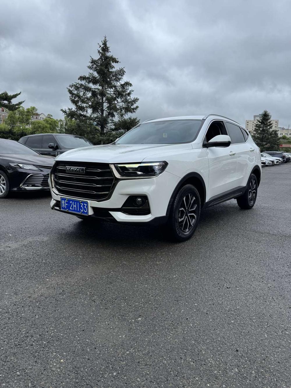 Great_Wall_Motors Haval H6 2021 National Fashion Edition 1.5T Automatic Urban Edition