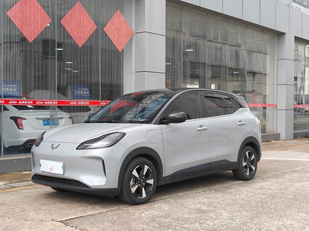 Wuling Wuling Bingo PLUS 2024 401km flagship version