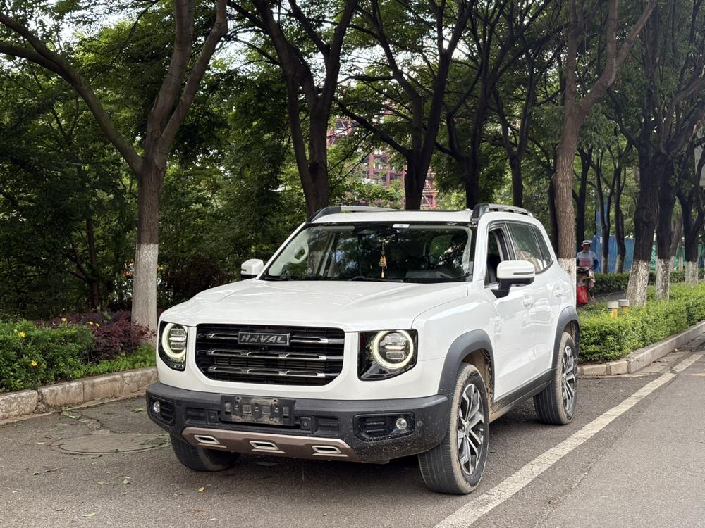 Great_Wall_Motors Haval Big Dog 2021 1.5T 2WD Border Collie Edition