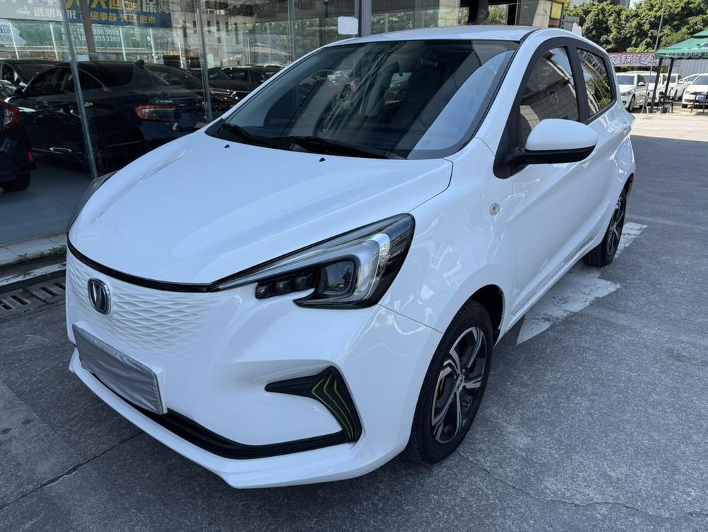 Changan Benben E-Star 2020 Xinyue Edition ternary lithium