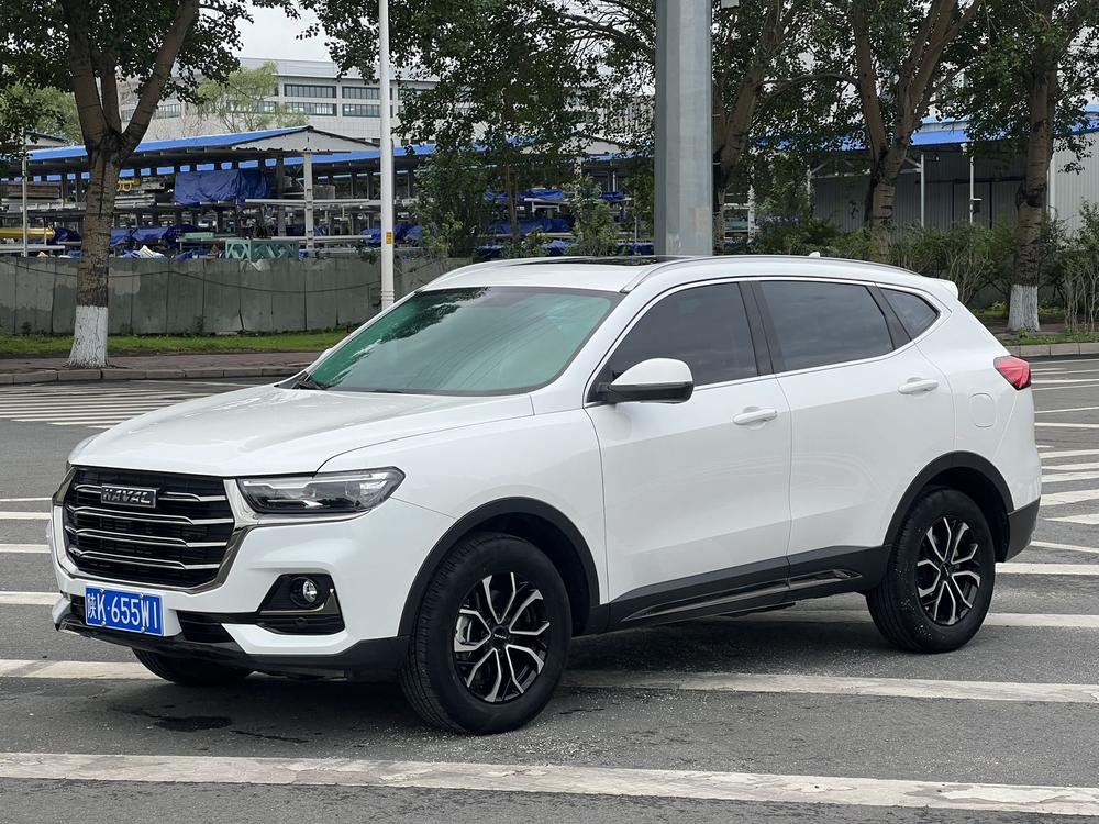 Great_Wall_Motors Haval H6 2021 National Fashion Edition 1.5T Automatic Urban Edition