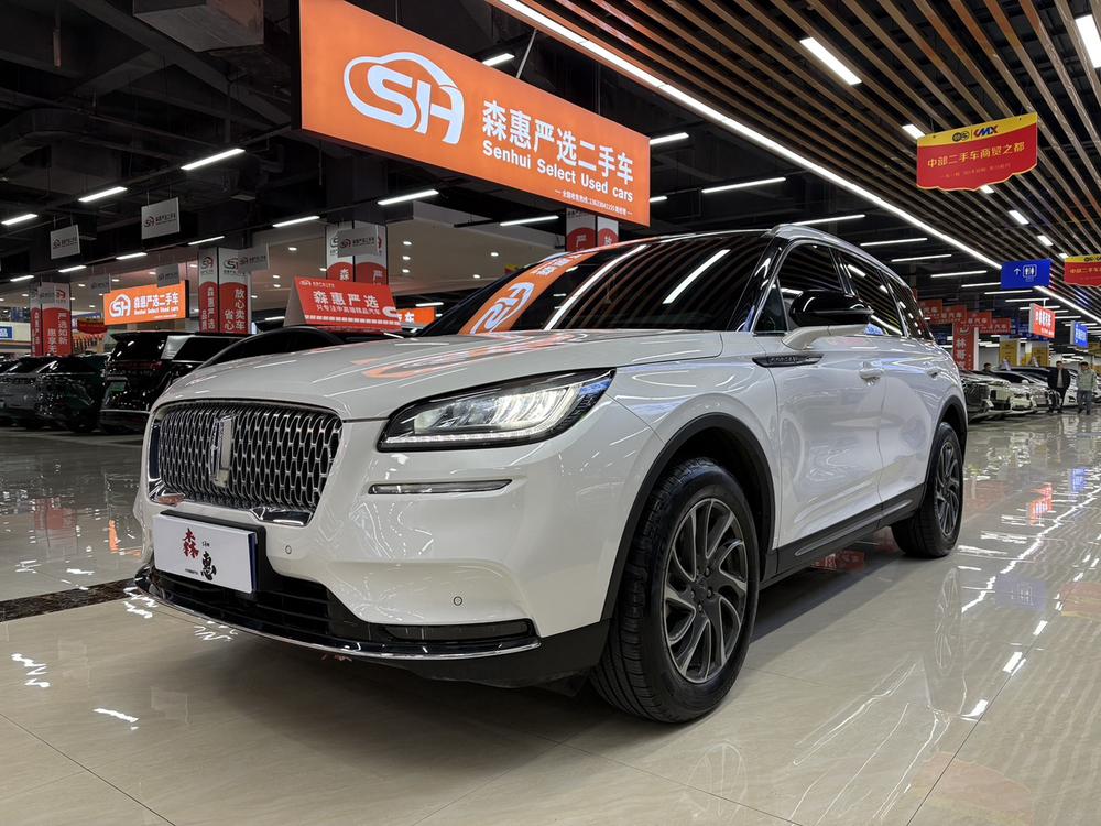 Lincoln Adventurer 2020 2.0T Two-wheel drive Premium Edition