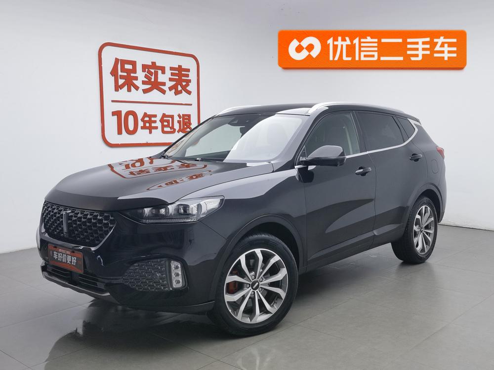 Great_Wall_Motors Weipai VV6 2020 2.0T 2WD Intelligent Protection+