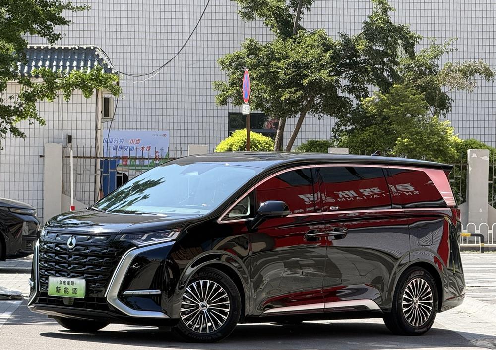 Denza_Motors Denza D9 DM 2024 980 four-wheel drive premium type