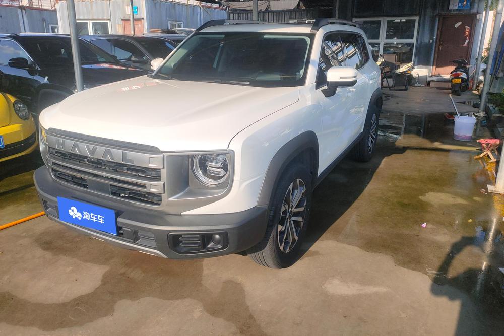 Great_Wall_Motors Havaldog 2024 1.5T two-wheel drive Labrador version