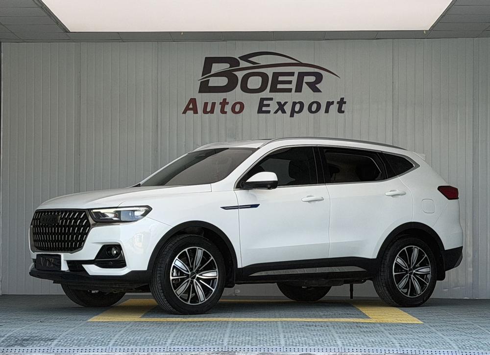 Great_Wall_Motors Haval H6 2023 National Fashion Edition 1.5T Automatic Champion Edition