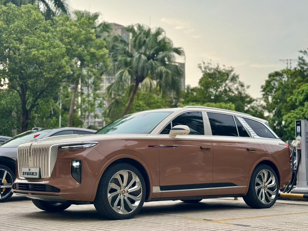 FAW_Hongqi Hongqi E-HS9 2020 model 510km flag collar version four seats