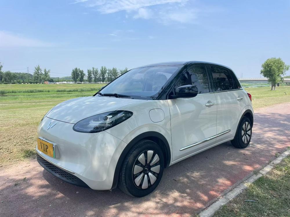 Wuling Wuling Bingo 2023 model 410KM Lingxi exclusive model