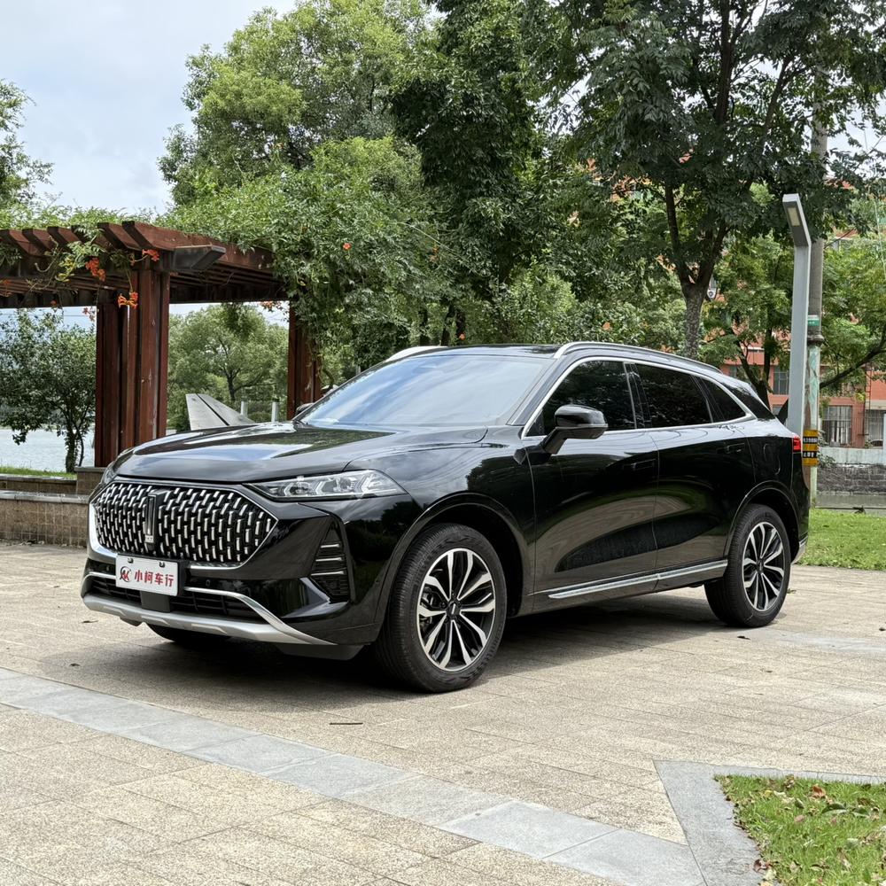 Great_Wall_Motors Mocha 2021 2.0T two-wheel drive special version