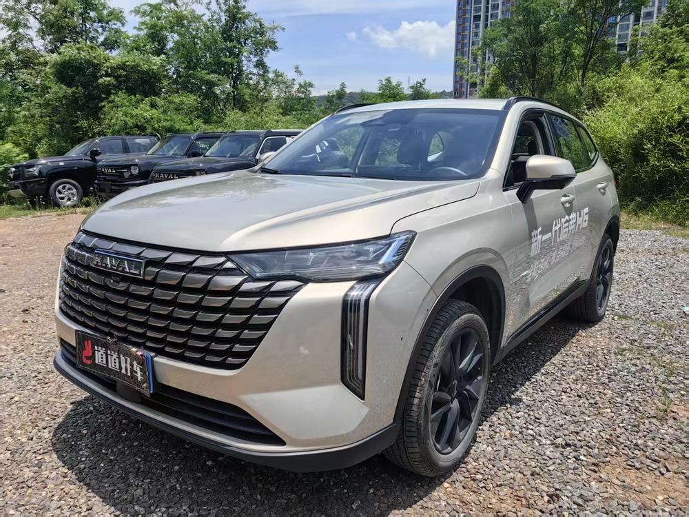 Great_Wall_Motors Haval H6 2024 1.5T automatic two-wheel drive Ultra version
