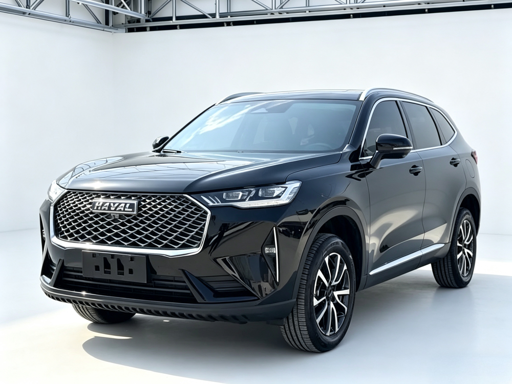 Great_Wall_Motors Haval H6 2024 1.5T automatic two-wheel drive Max version