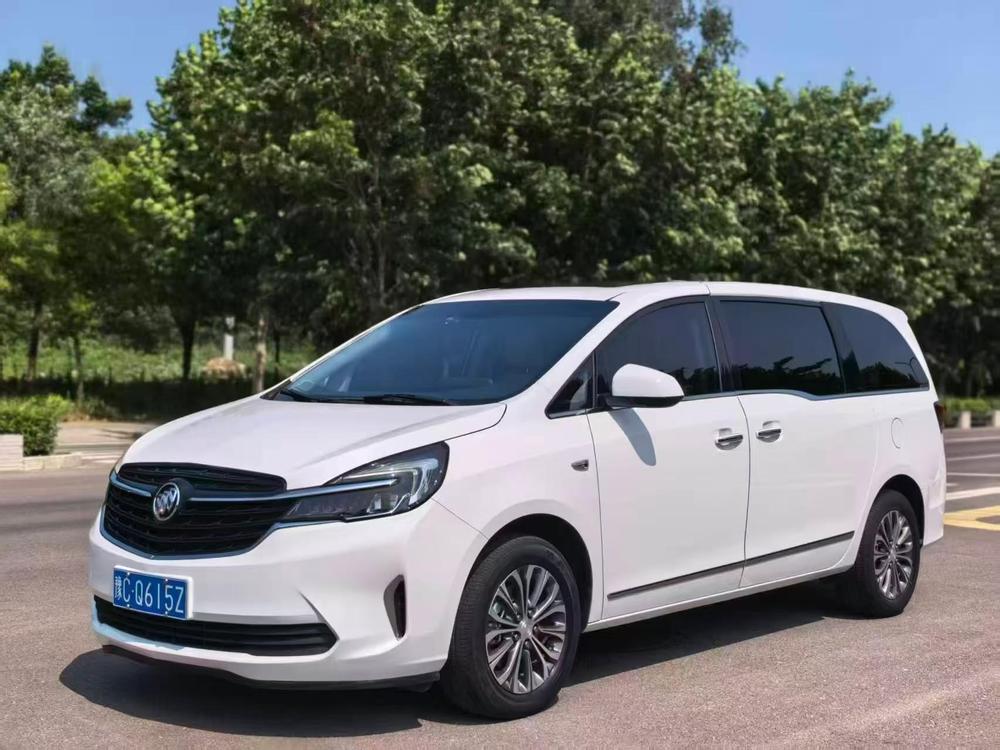 Buick Buick GL8 2020 Land Business Class 652T Luxury