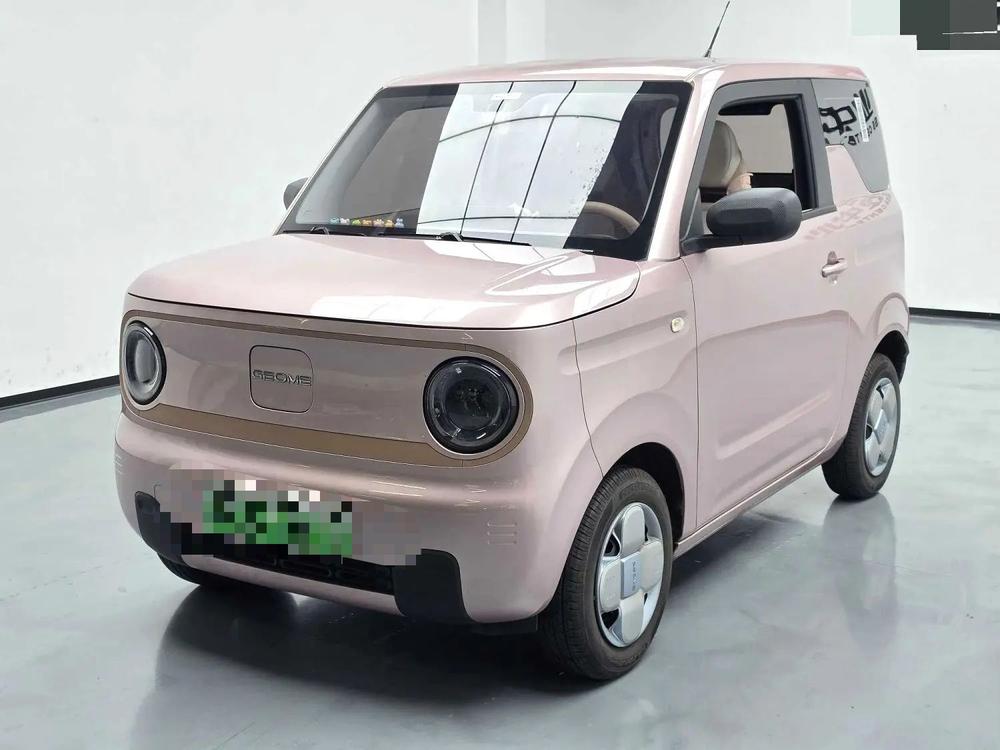 Geely Panda 2024 model 200km Panda mini endurance bear