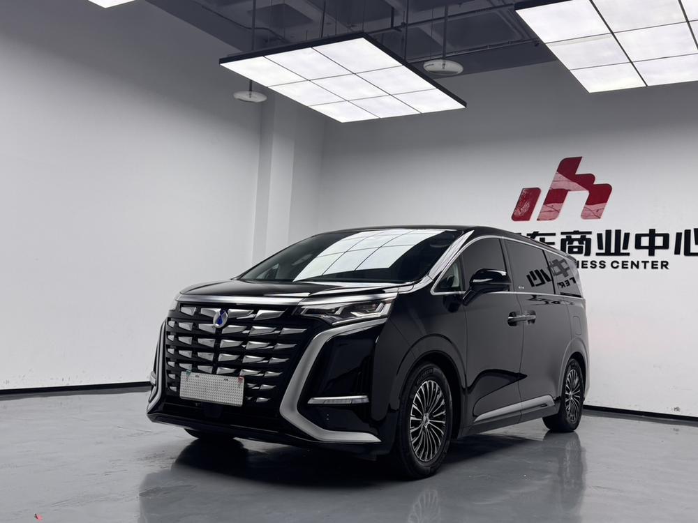 Denza_Motors Denza D9 DM 2024 980 four-wheel drive premium model