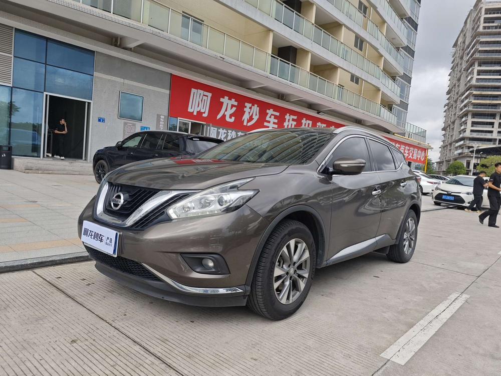 Nissan Loulan 2021 2.5L XE 2WD Elite Edition