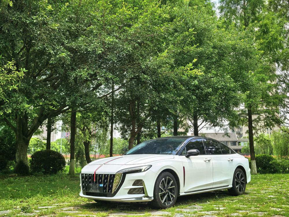 FAW_Hongqi Hongqi H6 2024 2.0T Beauty Edition