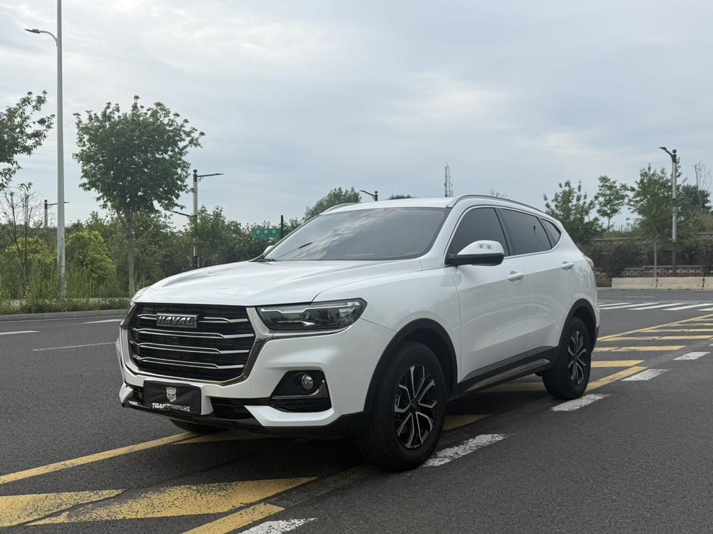 Great_Wall_Motors Haval H6 2021 National Fashion Edition 1.5T Automatic Urban Edition