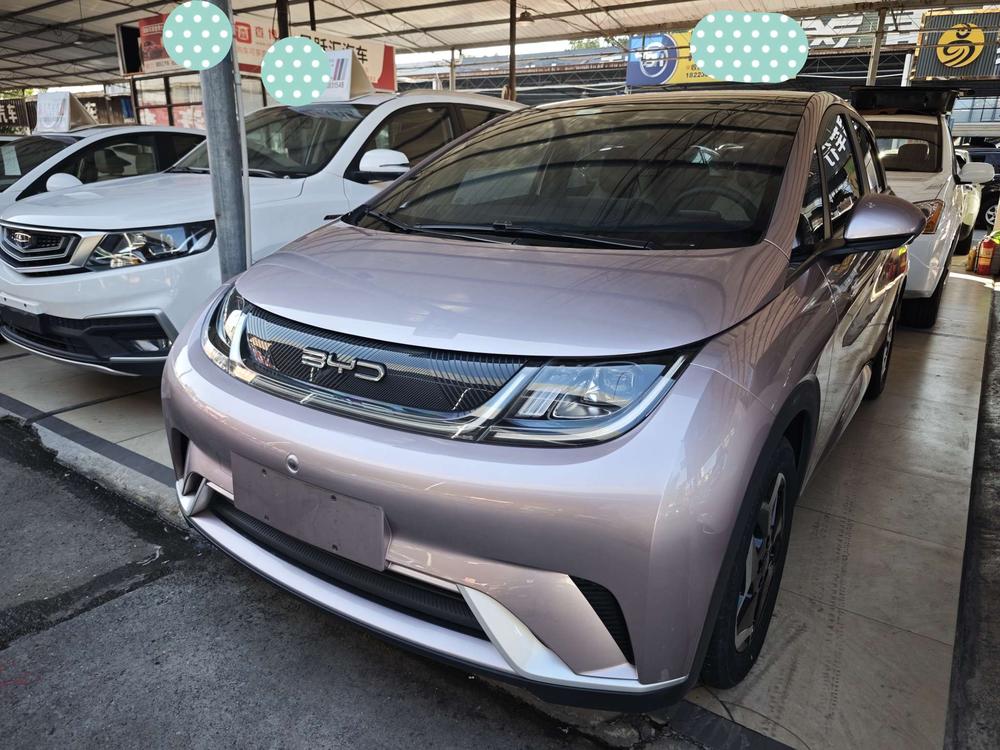BYD Dolphin 2023 Fashion Edition