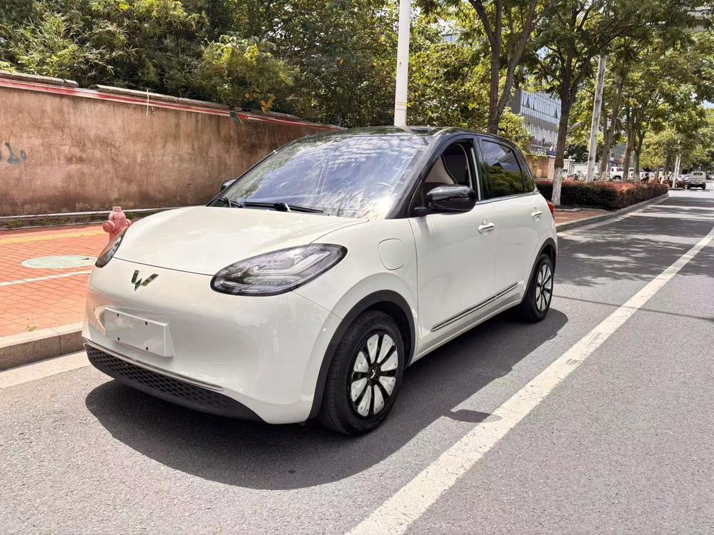 Wuling Wuling Bingo 2023 model 333KM Lingxi Internet model
