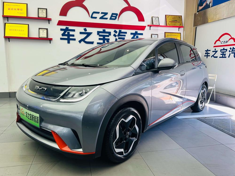 BYD Dolphin 2021 Fashion Edition