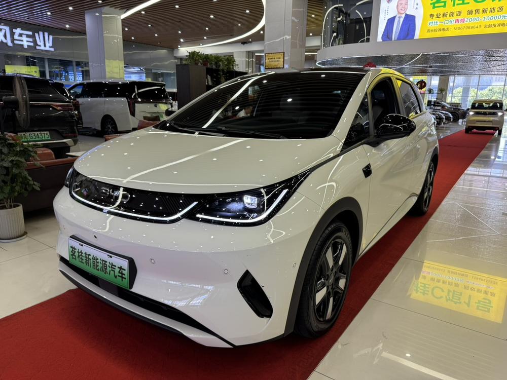 BYD Dolphin 2025 Smart Driving Edition 410KM Fashion Edition