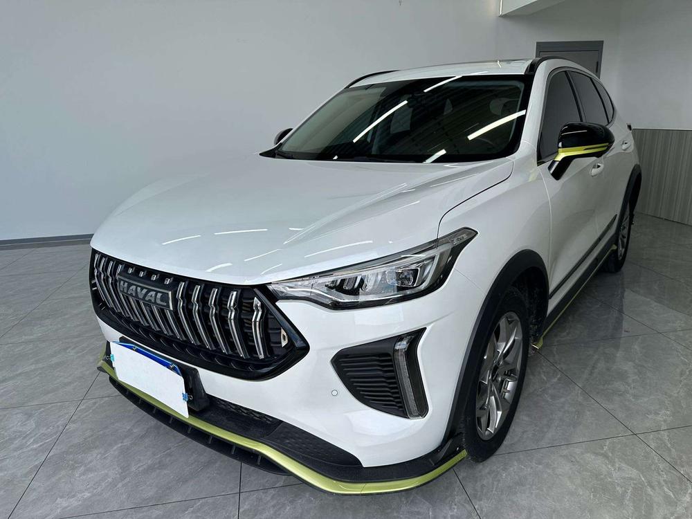Great_Wall_Motors Haval Red Rabbit 2022 Exclusive Edition 1.5T Brass Rabbit