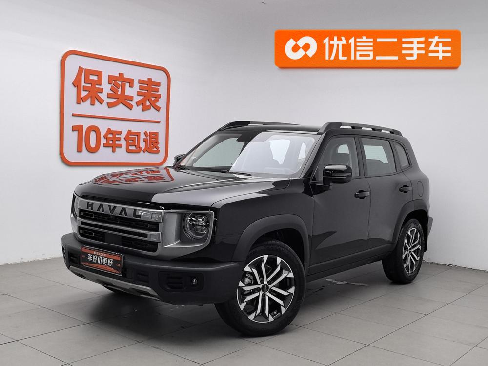 Great_Wall_Motors Havaldog 2024 1.5T two-wheel drive Labrador version