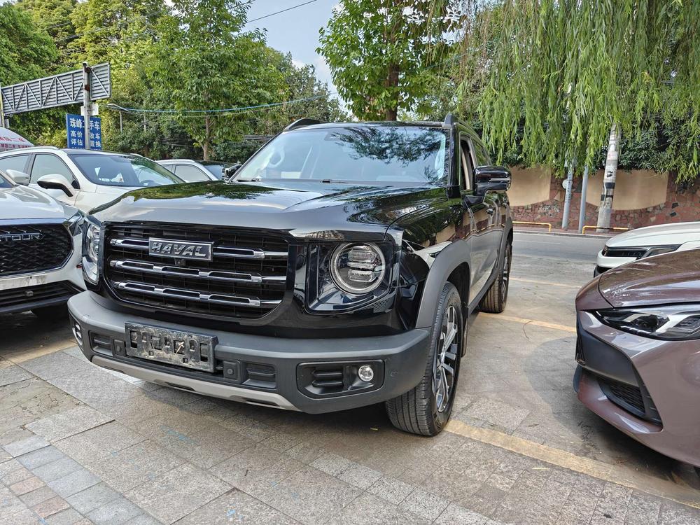 Great_Wall_Motors Havaldog 2022 1.5T two-wheel drive Labrador version