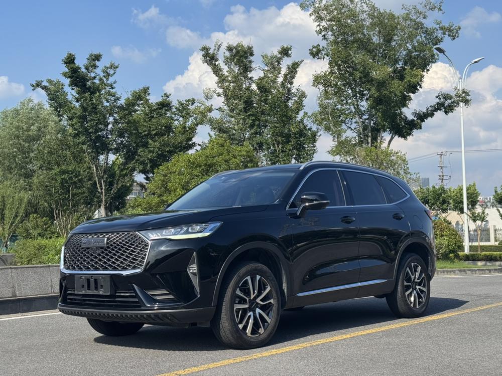 Great_Wall_Motors Haval H6 2022 third generation 1.5T automatic two-wheel drive Max