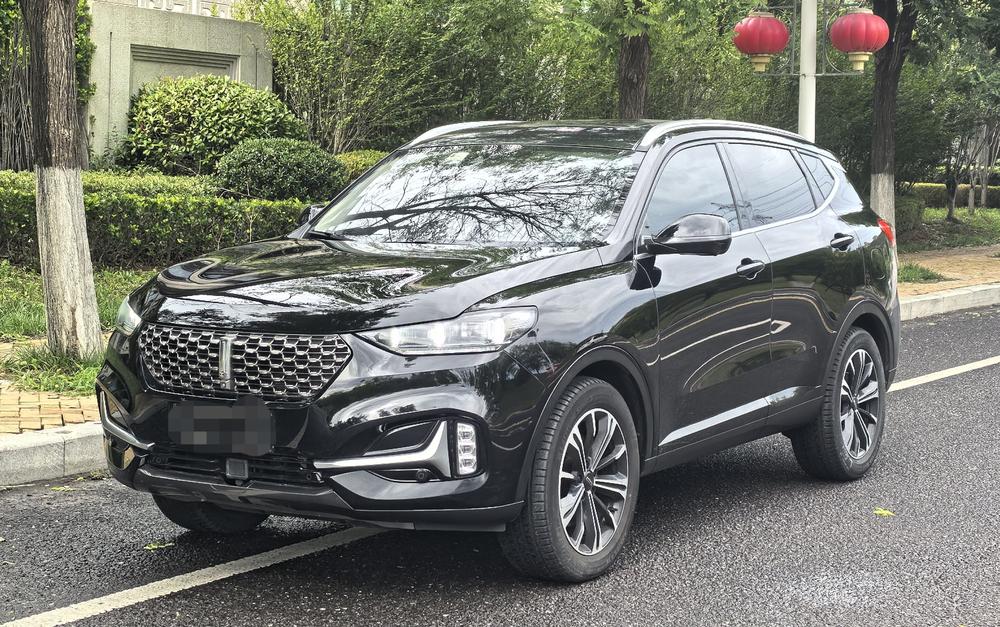 Great_Wall_Motors Weipai VV6 2020 2.0T 2WD Collie Smart Travel+