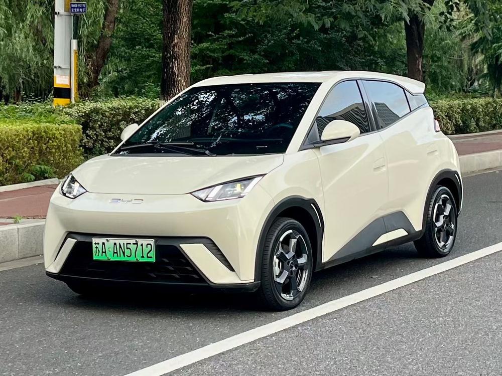 BYD Seagull 2024 Honor Edition 305KM Vitality Edition