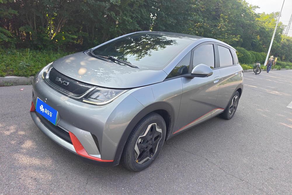 BYD Dolphin 2021 Fashion Edition
