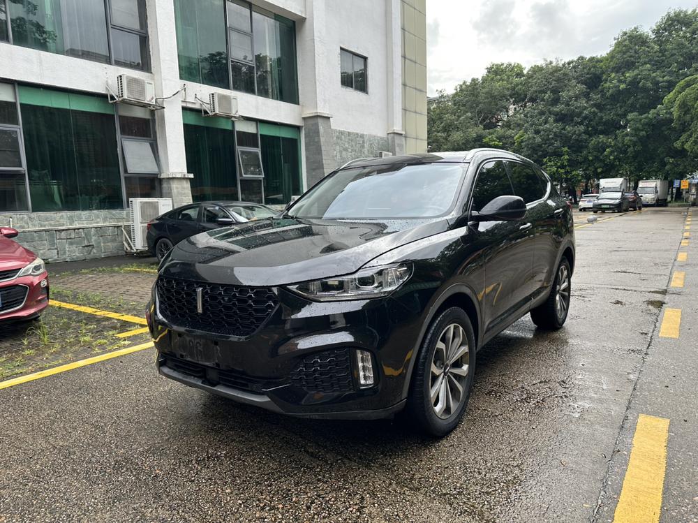Great_Wall_Motors Wei brand VV6 2019 2.0T two-wheel drive flagship model National VI