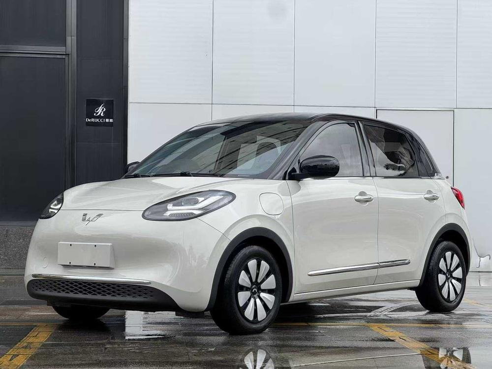 Wuling Wuling Bingo 2023 model 333KM express model