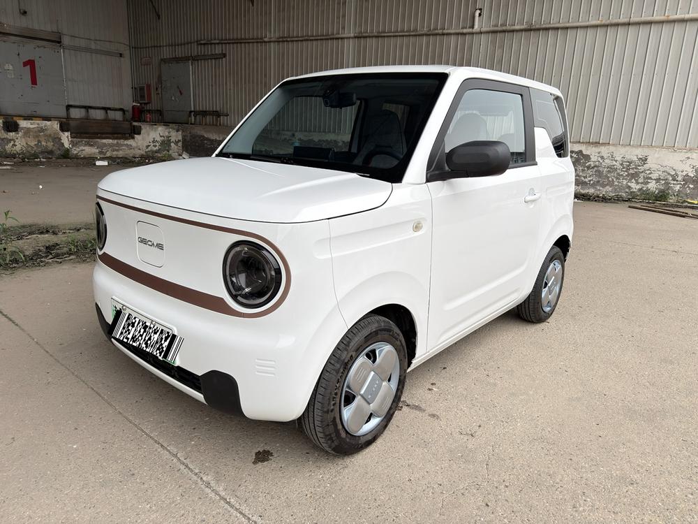 Geely Panda 2024 model 200km Panda mini endurance bear