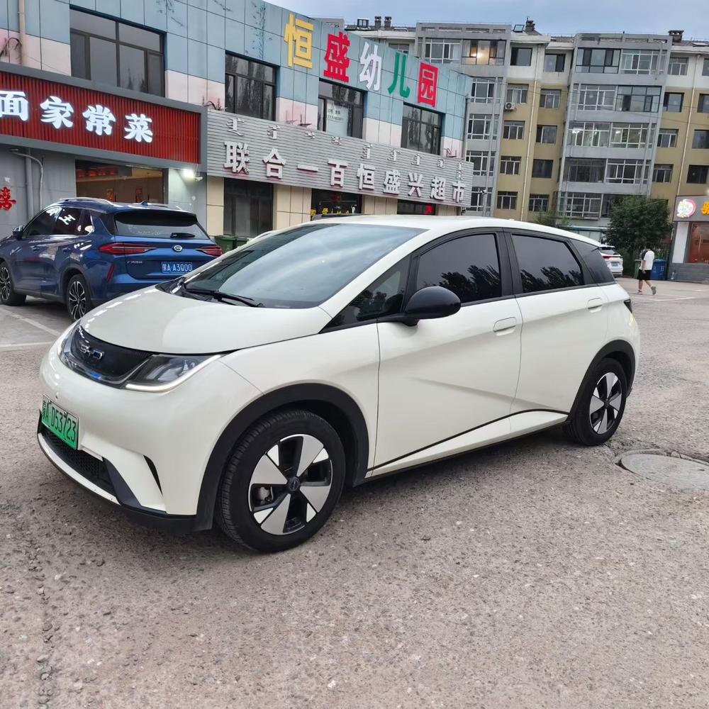 BYD Dolphin 2023 Free Edition