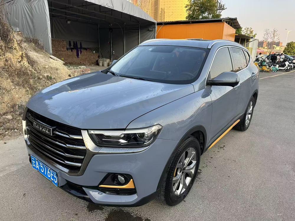 Great_Wall_Motors Haval H6 2021 National Fashion Edition 2.0GDIT Automatic Champion Edition
