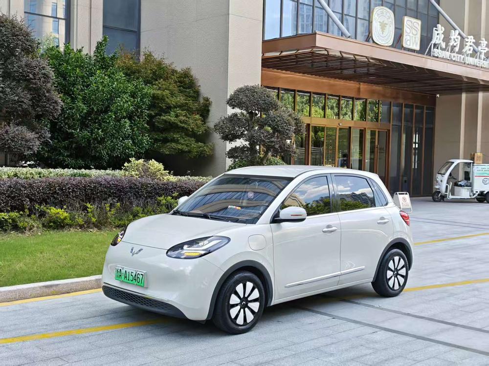 Wuling Wuling Bingo 2024 model 333KM Yuexiang model