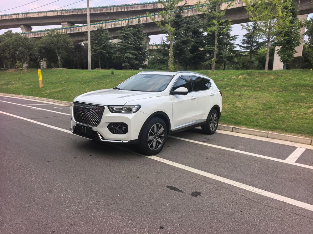Great_Wall_Motors Haval H6 2021 second generation 1.5GDIT automatic luxury version