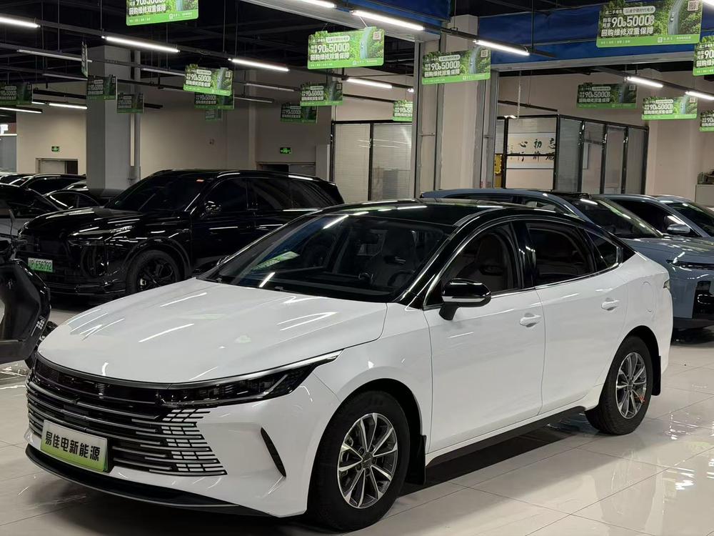 BYD Destroyer 05 2023 DM-i Champion Edition 55KM Luxury Type