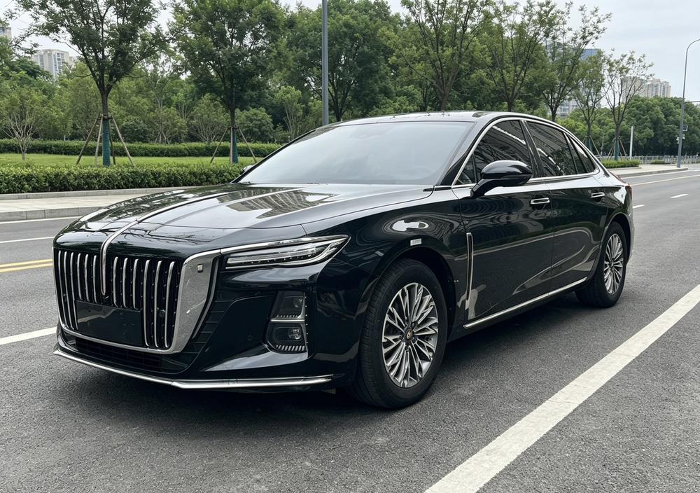 FAW_Hongqi Hongqi H5 2023 1.5T DCT Zhilian Qiyue Edition