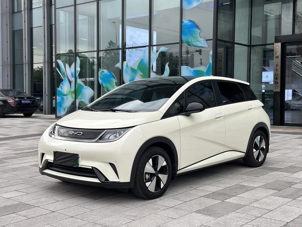 BYD Dolphin 2023 Fashion Edition