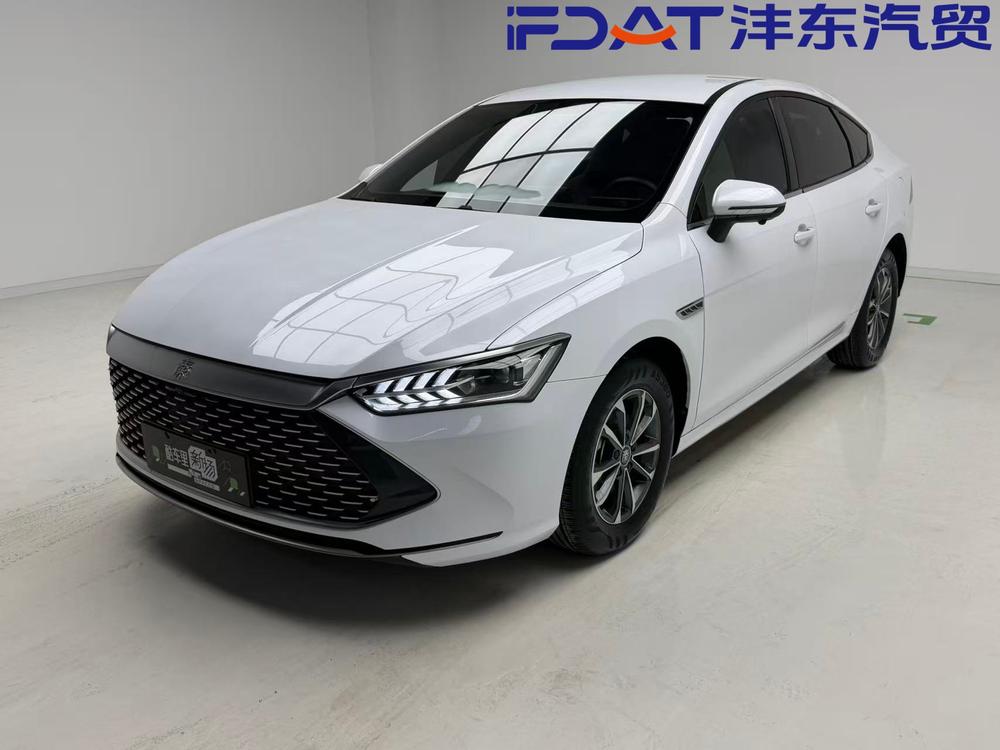 BYD Qin PLUS DM 2024 Honor Edition DM-i 55KM Leading Type