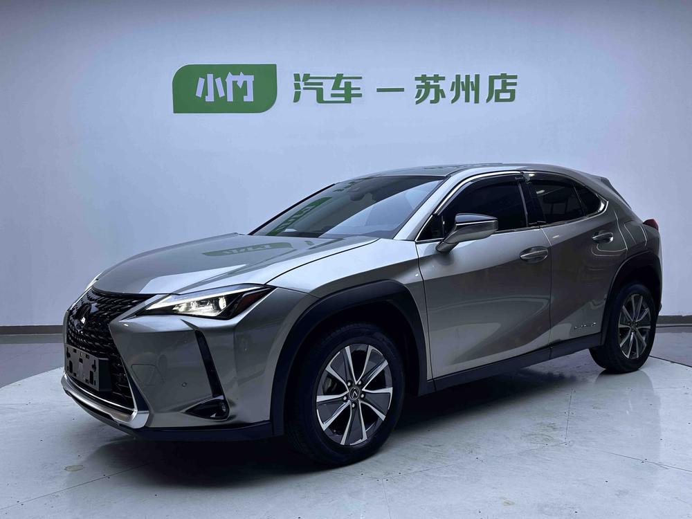 Lexus Lexus UX EV 2020 300e pure enjoyment