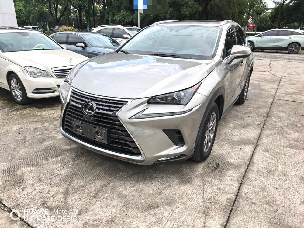 Lexus Lexus NX 2020 200 AWD Feng Shang Edition National V